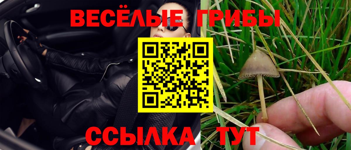 Острогожск  Галлюциногенные грибы ЛСД  Галлюциногенные грибы Psilocybine cubensis  Вход с VPN 